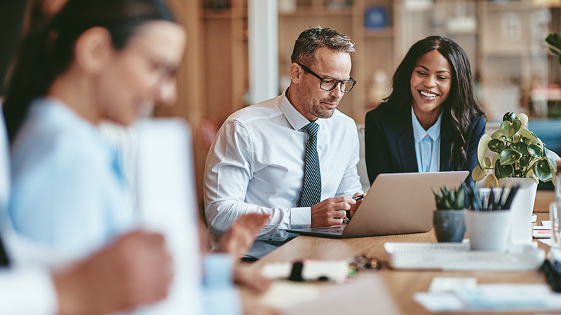 professionals working on laptop