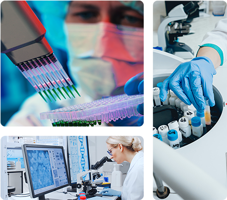 life sciences workers in laboratories