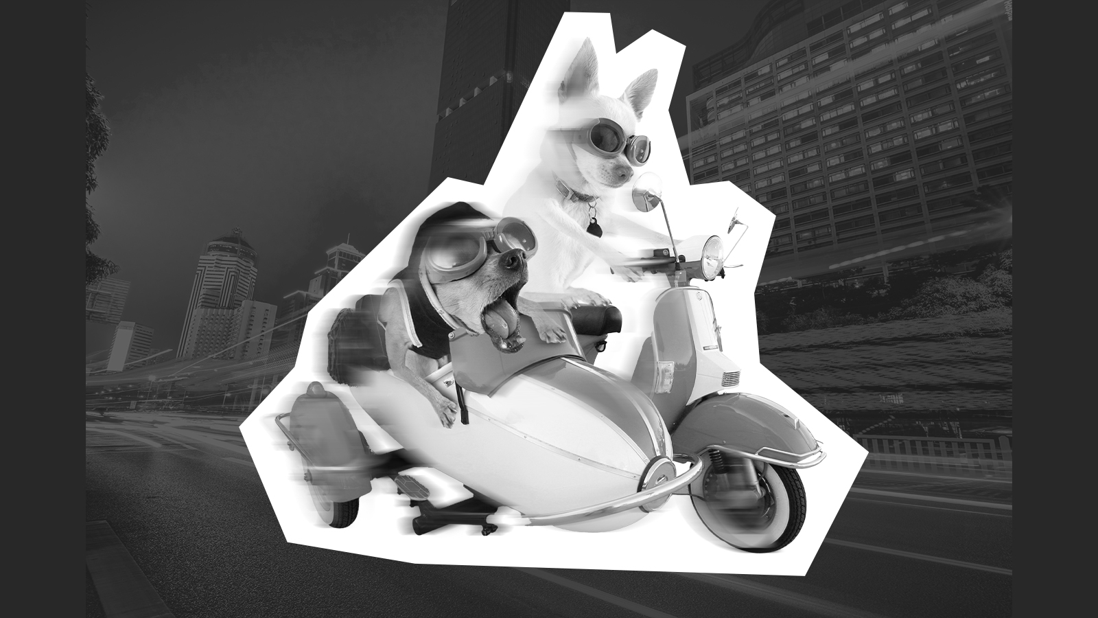 E-Learning Punk, Hero Rapid content