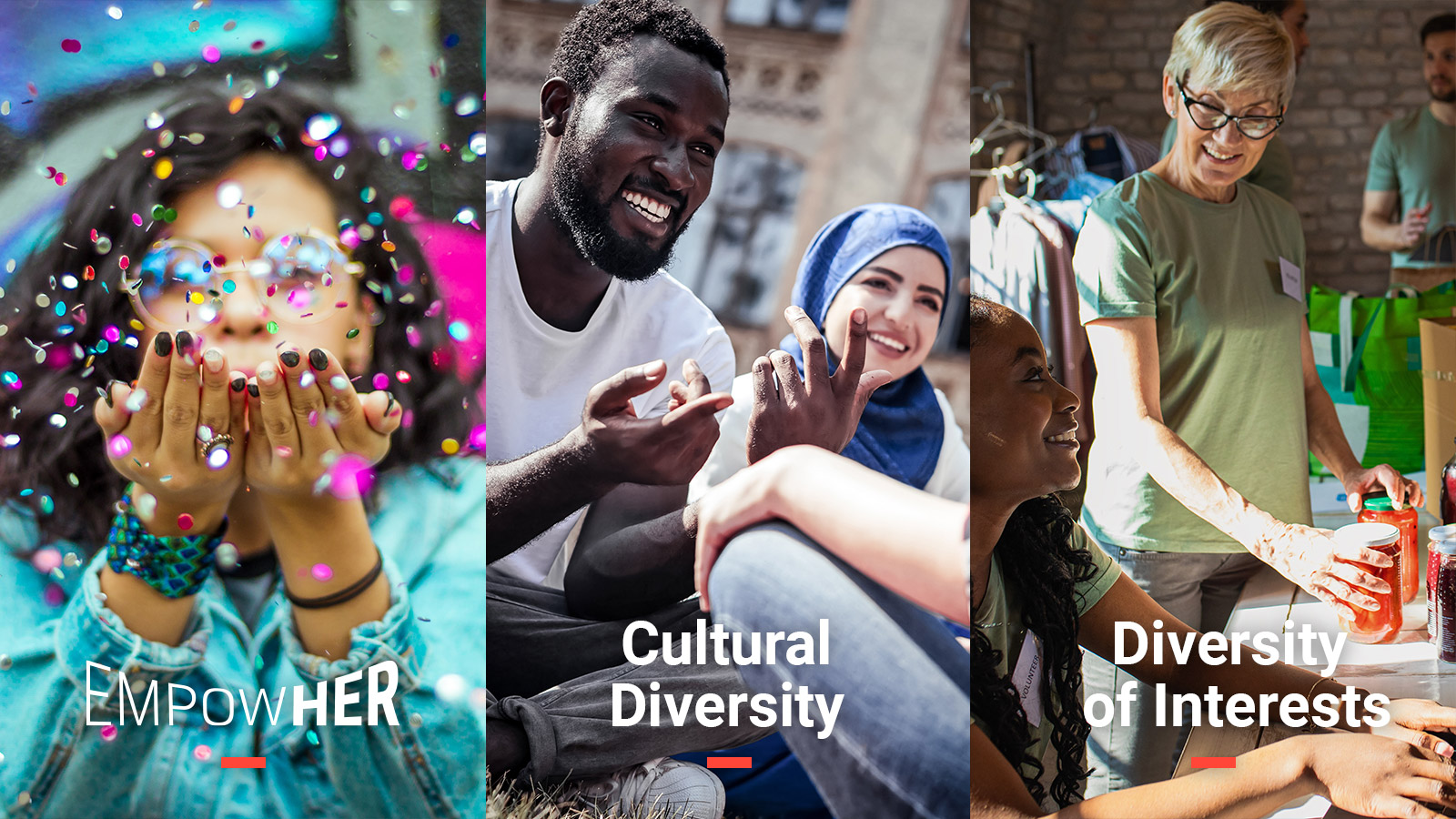 3 Pillars D&I Programme