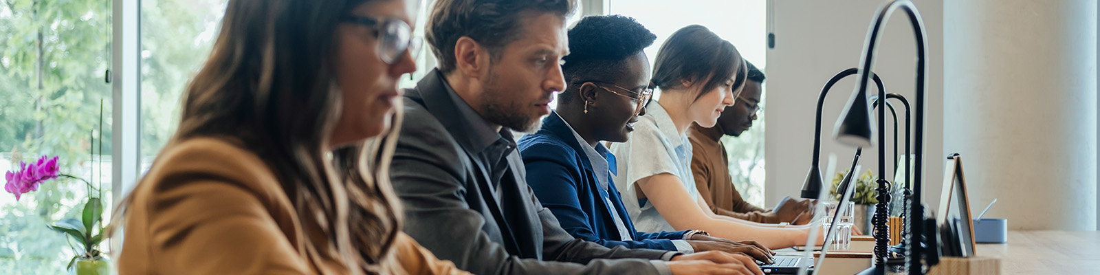 group of people learning