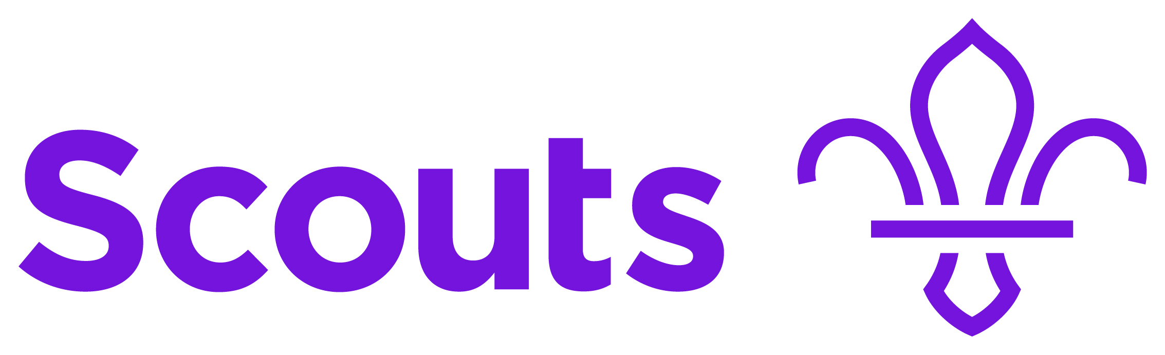 The Scouts logo